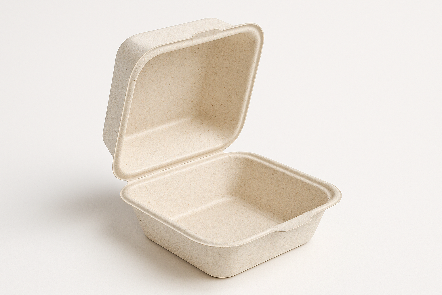 Hamburger container made in bleached bagasse and with an attached lid, open